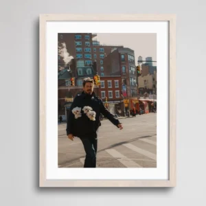 Wan walking with 3 puppies in his bag