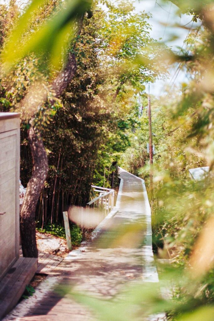 Wooden boardwalk path winding through trees in Fire Island Pines.