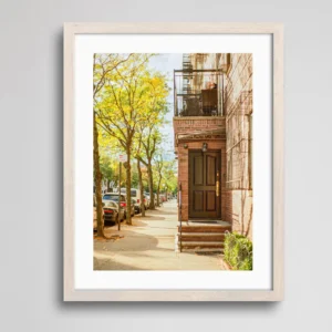Door in Brooklyn | Fine Art Print | Analogue Photography | 35mm Film Photography | Gallery Wall Decor | Eclectic Home