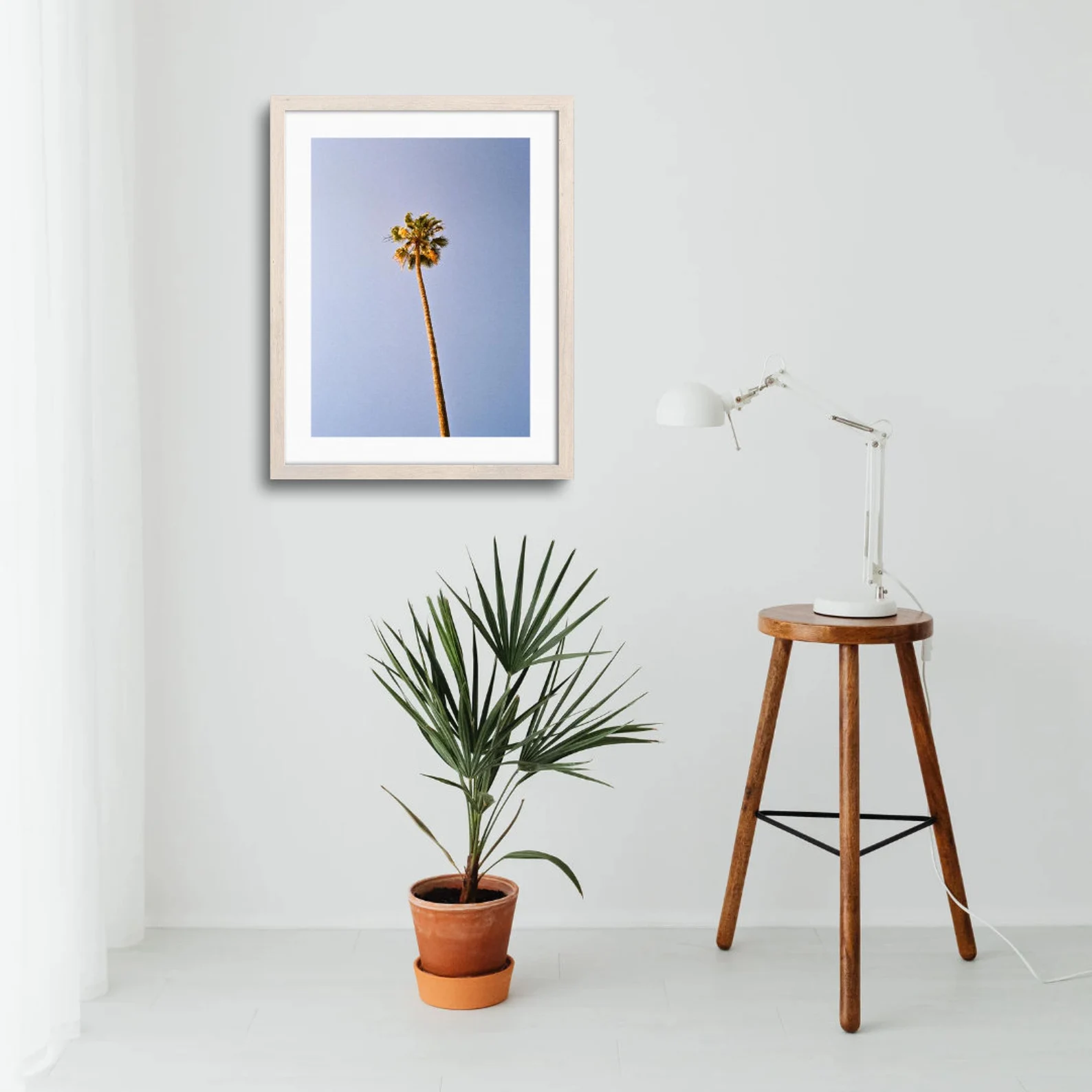 Palm Tree | Fine Art Print | Analogue Photography | 35mm Film Photography | Gallery Wall Decor | Eclectic Home - Image 3