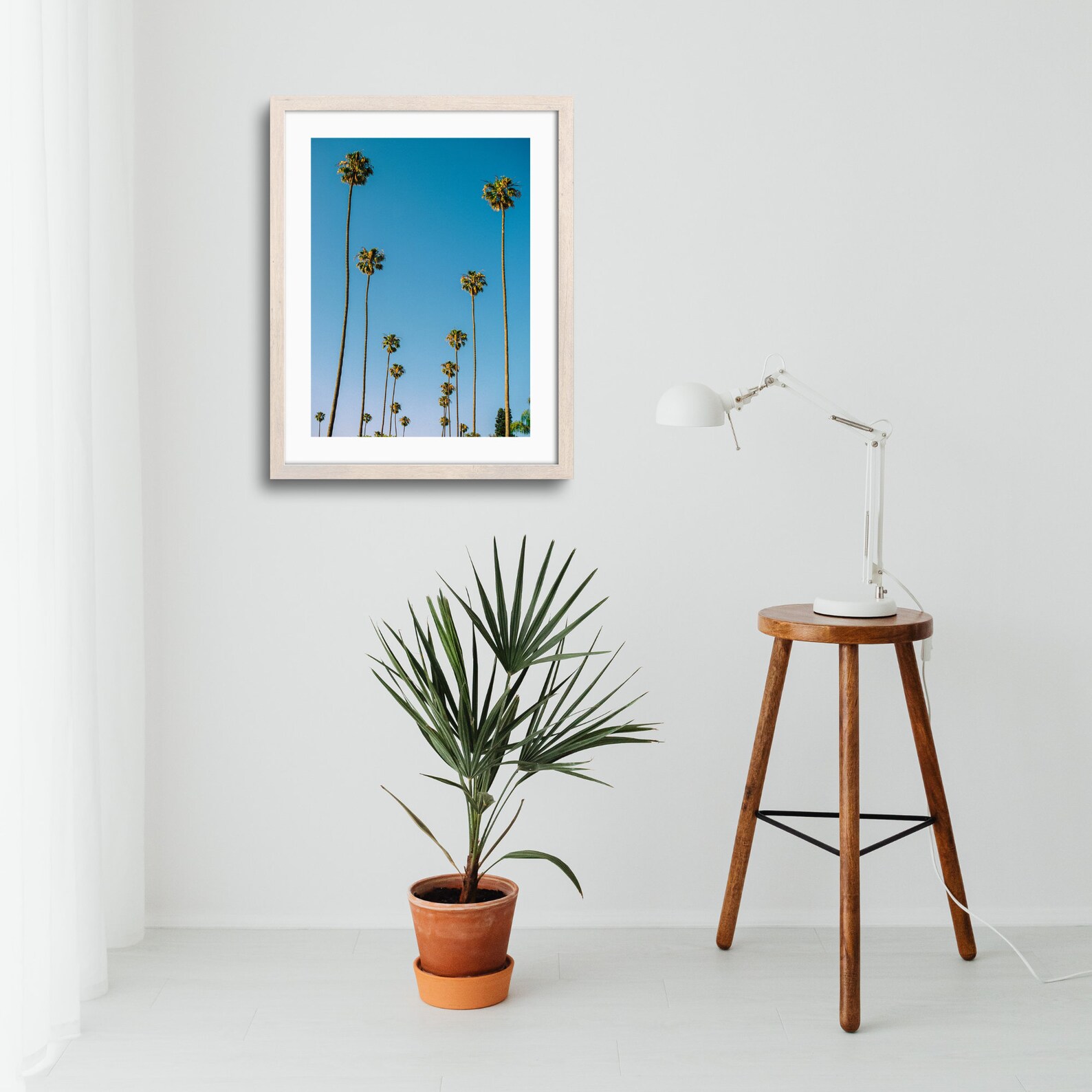 Row of Palm Trees | Los Angeles Palm Trees Photography Print - Image 5