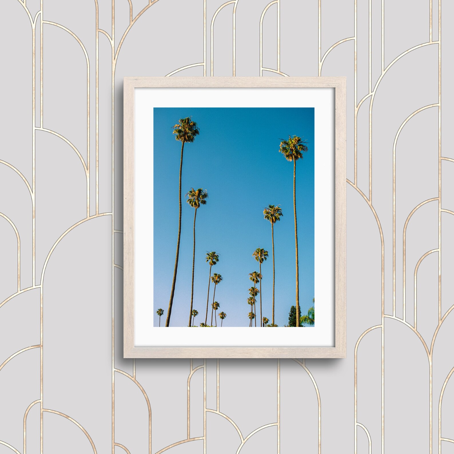Row of Palm Trees | Los Angeles Palm Trees Photography Print - Image 6